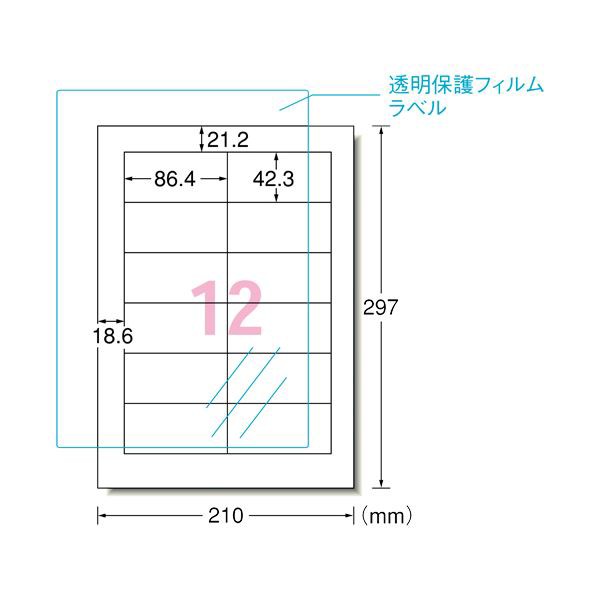 まとめ）エーワン 屋外用サインラベルA4 31090 油面 5セット【×5セット