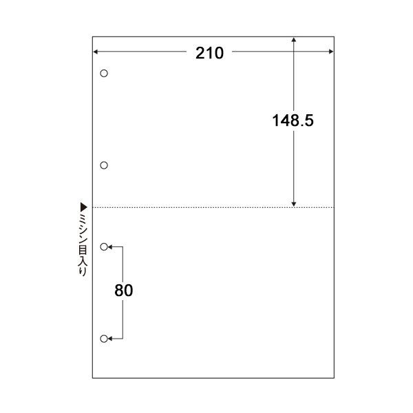 TANOSEE マルチプリンタ帳票（スーパーエコノミー） A4 白紙 2面 4穴 1