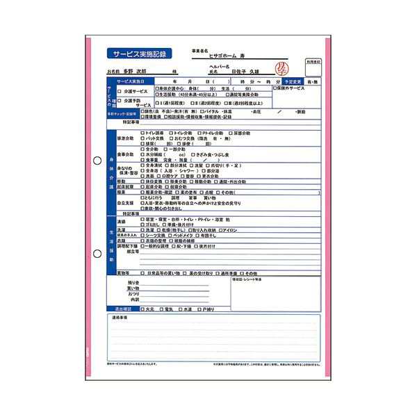 まとめ）ヒサゴ マルチプリンタ帳票 複写タイプA4 ノーカーボン ピンク