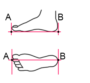 足 の 長 さ 測り 方