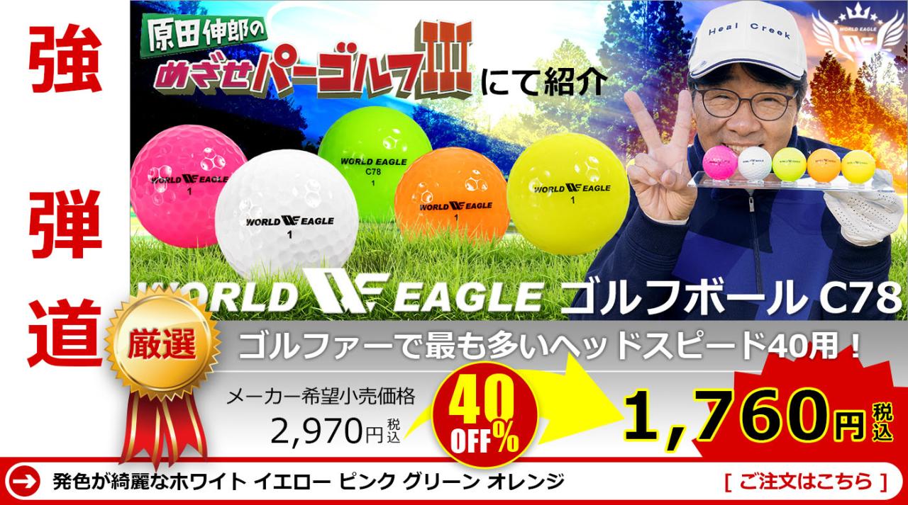 WORLD EAGLE�i���[���h�C�[�O���j �b�V�W �S���t�{�[��