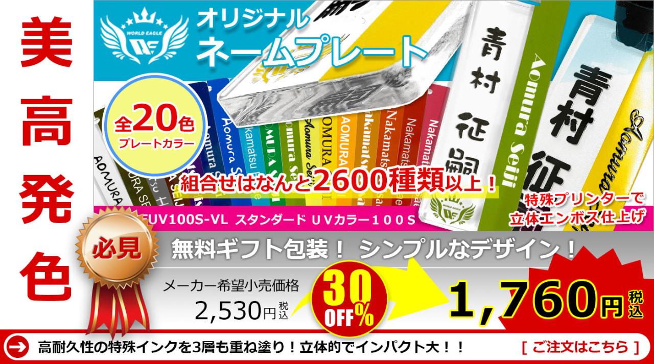 WE �l�[���v���[�g �X�^���_�[�h 100S WE-SDUV100S-VL