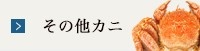 ̑Jj