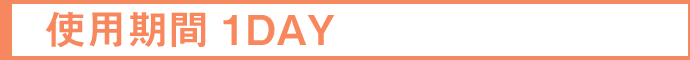 �g�p����1DAY