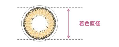 着色直径