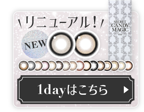 リニューアル! 1dayはこちら