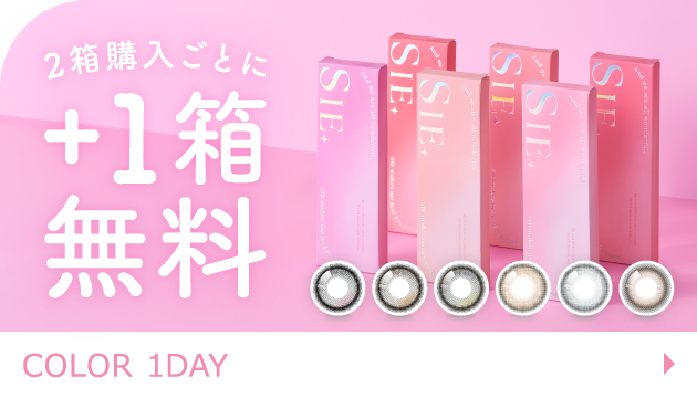 2wƂɁ{1 COLOR 1DAY