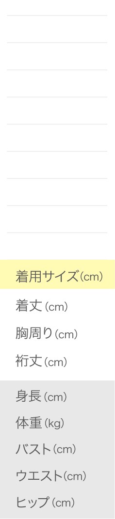 サイズ比較表