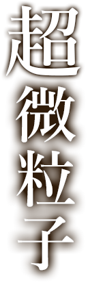 �t�@���f1