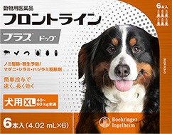 フロントライン特集 爽快ドラッグ Au Pay マーケット店 フロントライン特集 爽快ドラッグ Au Pay マーケット店