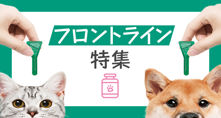 フロントライン特集 爽快ドラッグ Au Pay マーケット店