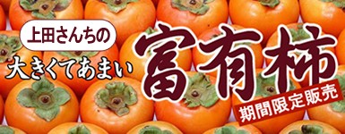 上田さんちの富有柿特集
