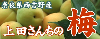 c񂿂̔~W