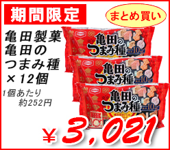 �T�c���فi���j�@�T�c�̂܂ݎ�@�~12��