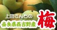 c񂿂̔~W