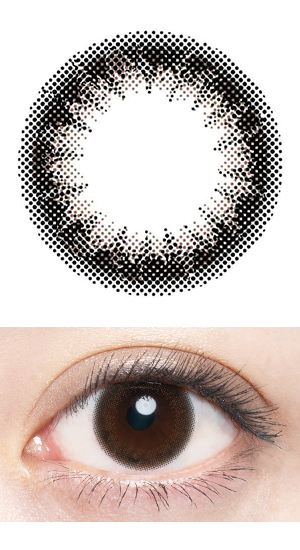 �A�����B�y�v�����u���b�N�z