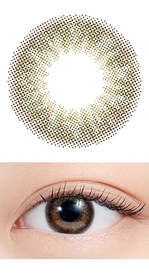 �G�k�Y�R���N�V�����y�������e�z