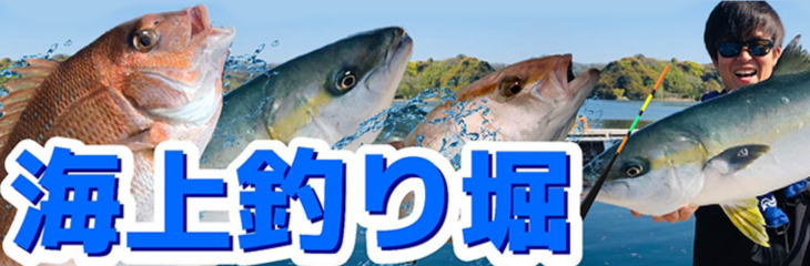 Cޖx