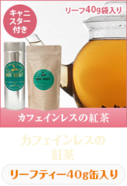 �m���J�t�F�C���̍g��