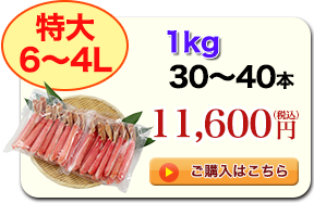 6`4L 1kg 30`40{ 11,600~iōj