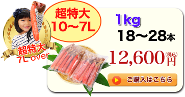 10`7L 1kg 18`28{ 12,600~iōj