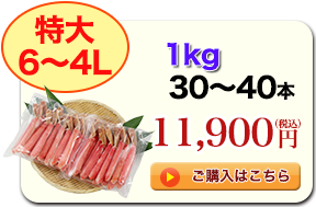 6`4L 1kg 30`40{ 11,900~iōj