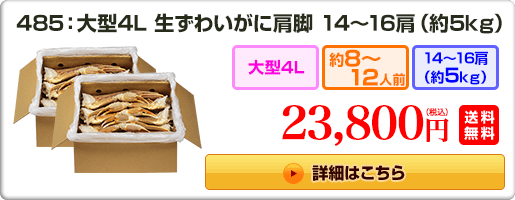 485：大型4L 生ずわいがに肩脚 14～16肩（約5kg） 23,800円（税込）送料無料