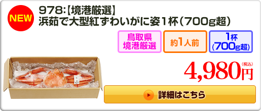 《NEW》978：【境港厳選】浜茹で大型紅ずわいがに姿1杯(700g超)