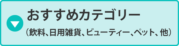 �������߃J�e�S���[