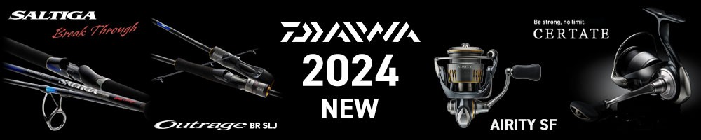 2023N_CVi_[