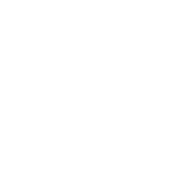 ���������̓R�R�ɂ���