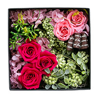�v���U�[�u�h�t�����[�Z�b�g