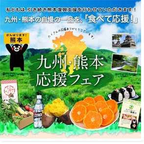 当時の応援フェアページの一部