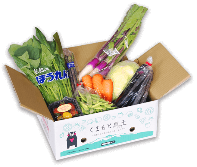 おまかせ野菜・フルーツ10品目 あきだわら5kg発送イメージ