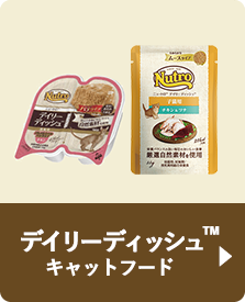�f�C���[ �f�B�b�V��&trade;