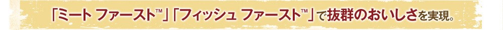 �u�~�[�g �t�@�[�X�g&trade;�v�u�t�B�b�V�� �t�@�[�X�g&trade;�v�Ŕ��Q�̂��������������B