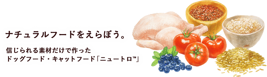 �i�`�������t�[�h������ڂ��B�M������f�ނ����ō�����h�b�O�t�[�h�E�L���b�g�t�[�h�u�j���[�g��&trade;�v