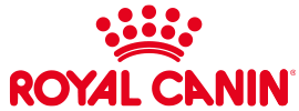 ���C�����J�i��
