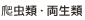 爬虫類・両生類