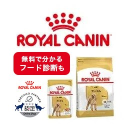 ドッグフードロイヤルカナン