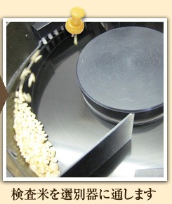 �����Ă�I�ʊ�ɒʂ��܂�