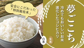 夢ごこち