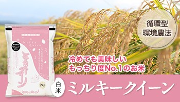 ミルキークイーン