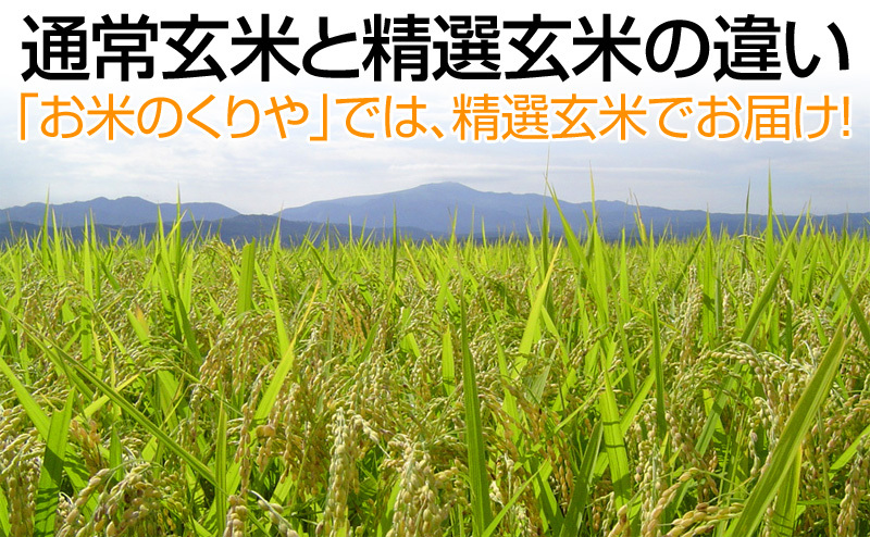 通常玄米と精選玄米の違い