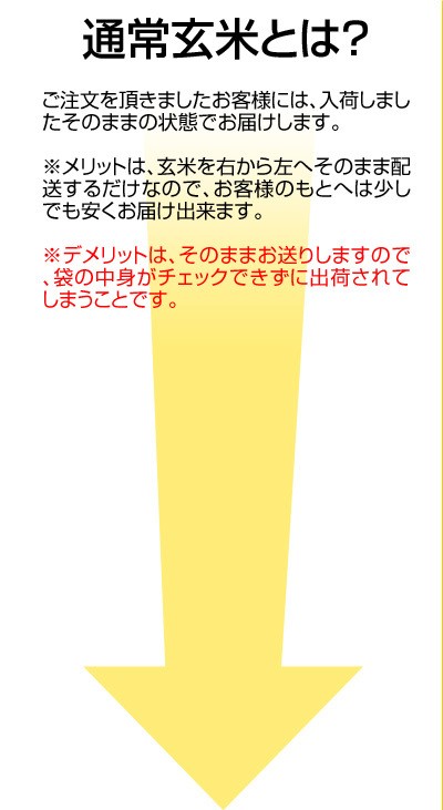 通常玄米とは?