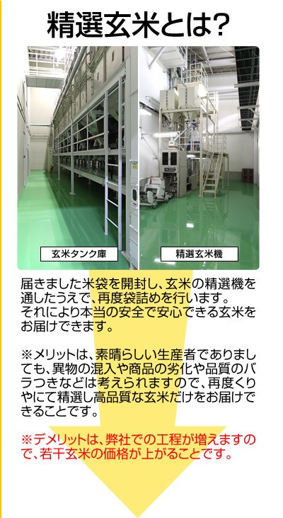 精選玄米とは?