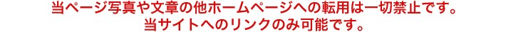 当ページ写真や文章の他ホームページへの転用は一切禁止です。 当サイトへのリンクのみ可能です。