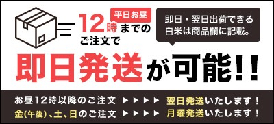 即日発送が可能