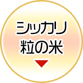VbJ̕