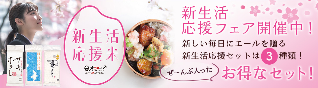 �V���������t�F�A